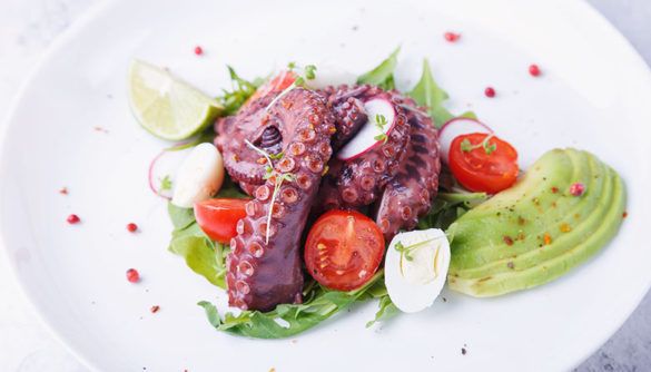 octopus and avocado salad
